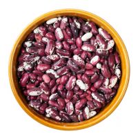 Wholesale Pinto Bean Purple Speckled Kidney Beans for Sale