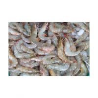 Shrimp Fresh 100% High Quality Frozen Shrimp low price