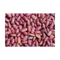 Red speckled Kidney bean for sale food porridge food
