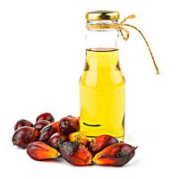 Wholesale Supply Factory price Refined palm oil Daily Food Cooking Palm Fruit Oil Refined Palm kernel oils