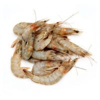 Seafood shrimp artificial culture frozen fresh shrimp high-quality shrimp