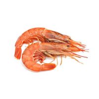 Wholesale Supplier Frozen shrimps For Sale In Reasonable Price