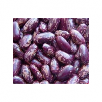 High quality food grade 25 or 50 kg kidney beans natural product Purple speckled kidney beans for food