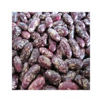 High quality food grade 25 or 50 kg kidney beans natural product Purple speckled kidney beans for food
