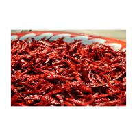 Organic single spices dried chili pepper hot pepper red chilli for sale