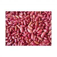 Export Red Kidney Beans Speckled High Quality Red Kidney Beans Cheap Price