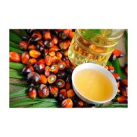 High Grade Wholesale Cooking Price Refined Palm Oil For Cooking Palm Oil High Quality Refined Cooking Palm Oil Price