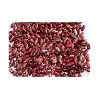 Non-GMO High Grade Natural Bulk Pinto Dried Red Speckled Mottled Kidney Beans for Food