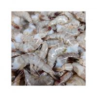Fresh Frozen Shrimp Wholesales Cheap Price Scampi Sea Scampi Prawn Tiger Pawn Black Tiger Pawn Shrimp