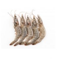 Premium Quality Wholesale Frozen shrimps For Sale In Bulk