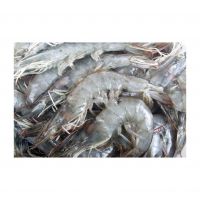 Best Quality Frozen shrimps For Sale In Cheap Price