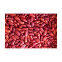 Non-GMO High Grade Natural Bulk Pinto Beans Dried Red Speckled Kidney Beans for Food
