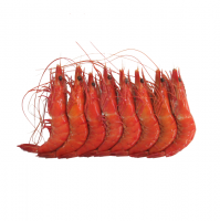 Best Quality Frozen shrimps For Sale In Cheap Price Wholesale Frozen shrimps