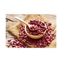 Wholesale Pinto Bean Red Speckled Kidney Beans for Sale