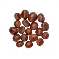 German Fresh Sweet Chestnuts - Best Taste - Hot Sale!!!