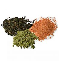 Wholesale Supplier Lentils For Sale In Reasonable Price