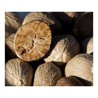 Free samples myristica fragrans seed nutmeg extract