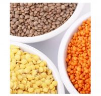 Best Selling Factory Supply Agricultural Product Wholesale Bulk Exporter Red Lentil Price From Brazil