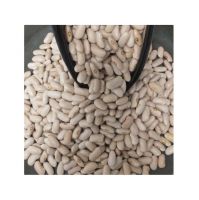 Highest Quality Natural Wholesale Top Grade White Kidney Beans For Exporting High Quality Large Big White Kidney Beans
