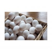 High Standard Best Quality Chicken Egg From Brazil Fresh and Natural Egg Wholesale Price Animal Products Eggs