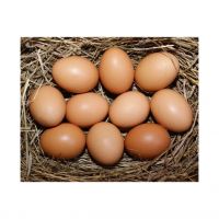 Fresh Brown Table Eggs / Fresh Chicken Eggs, Sell At Best Rate Farm Fresh Chicken Table Eggs Brown Fresh Brown White Table Eggs / Fresh Chicken Eggs