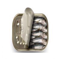 canned sardine in vegetable oil Quality Available