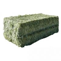 Alfalfa Hay at very cheap price / Quality Rhodes Grass Hay Alfalfa