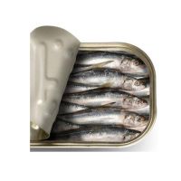 Canned Sardines in vegetable oil