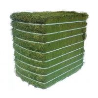 Cheap Top Quality Alfalfa Hay for Animal Feeding Stuff Alfalfa hay/Timothy hay