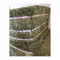 Wholesale Alfalfa Hay Animal Feeding Stuff Alfalfa, hay/alfalfa hay pellets Timothy Hay/ Alfalfa in Bales Best Super Top Quality