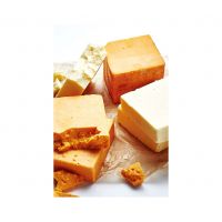 hot sale HALAL CERTIFIED MOZZARELLA/CHEDDAR CHEESE