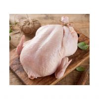 Buy Halal Whole Frozen Chicken For Export /Halal Frozen Whole Chicken Frozen Processed Chicken Frozen Whole Chicken 