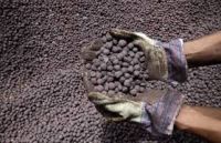 Iron Ore Pellets DR Grade