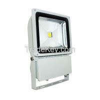 waterproof 100W floodlights with meanwell driver made in China