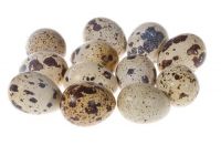 Healthy Quail Eggs