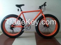 2016 Men's Steel Fat Bike/Fat Bicycle