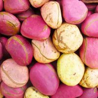 fresh Red and White kola nuts