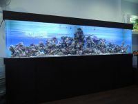 Marine Aquarium