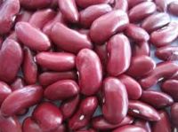 White & Red Kidney Beans | Black Kidney Bean