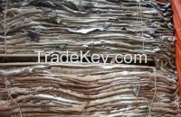WET SALTED COW HIDES