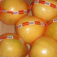 guanxi honey pomelo