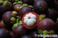 Mangosteen indonesia