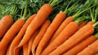 Carrots