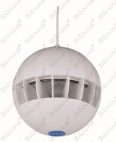 30W Hanging Speaker for Pa System