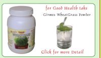 Wheatgrass Powder