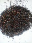 INDIAN BERBERRY SEED