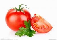 5%-98% tomato lycopene