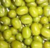 green mung bean