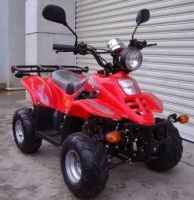 https://www.tradekey.com/product_view/Atv-50cc-Kid-Quad-Atv-Racing-6334.html