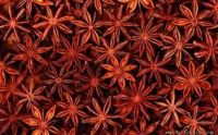 Broken Star Aniseed